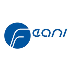 European Federation of National Engineering Associations (FEANI)