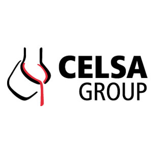 Celsa Steel